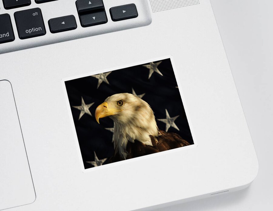 Eagle Sticker featuring the photograph A Patriot by Raymond Salani III