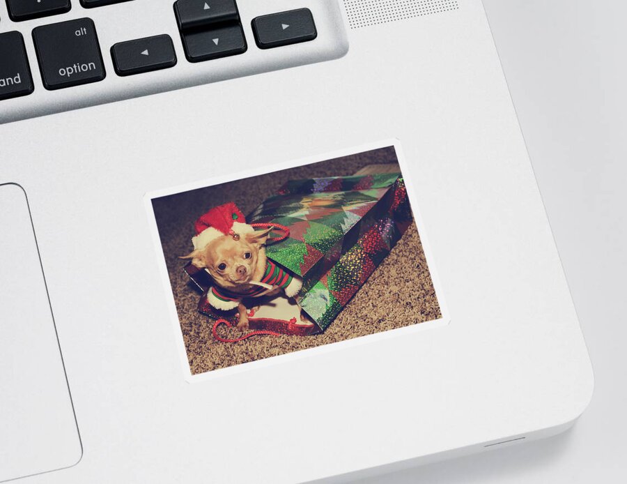 Dog Sticker featuring the photograph A Sweet Christmas Surprise by Laurie Search