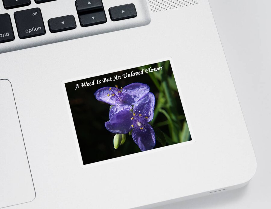  Sticker featuring the photograph A Weed Is But An Unloved Flower by Bob Johnson