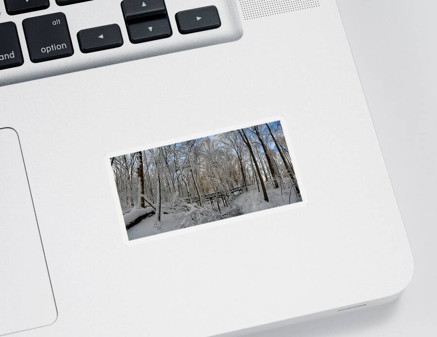 Salani Sticker featuring the photograph A Winter Scene by Raymond Salani III