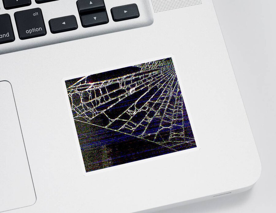Abstract Sticker featuring the photograph Abstract - Arachnid View by Richard Reeve