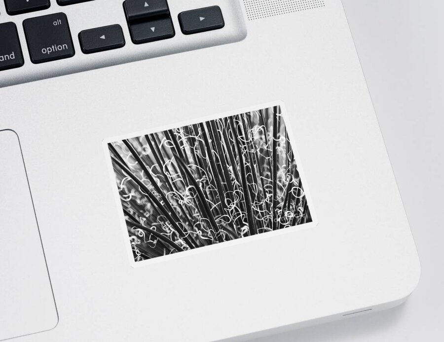 Abstract Sticker featuring the photograph Abstract in Black and White by Crystal Nederman