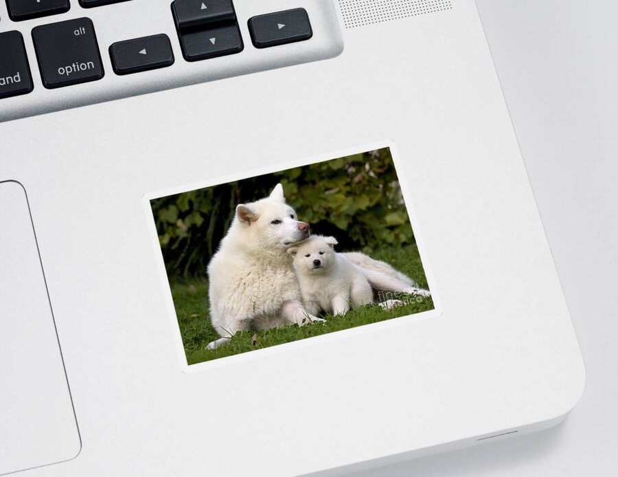 Dog Sticker featuring the photograph Akita Inu Dog And Puppy by Jean-Michel Labat