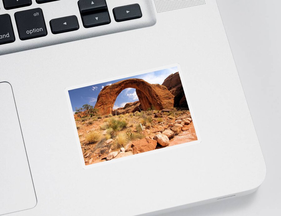 Rainbow Bridge Sticker featuring the photograph All Lined Up by Adam Jewell