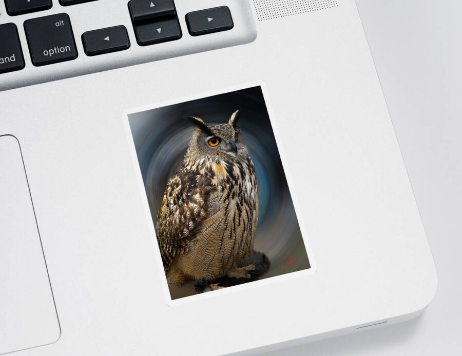 Colette Sticker featuring the photograph Almeria Wise Owl living in Spain by Colette V Hera Guggenheim