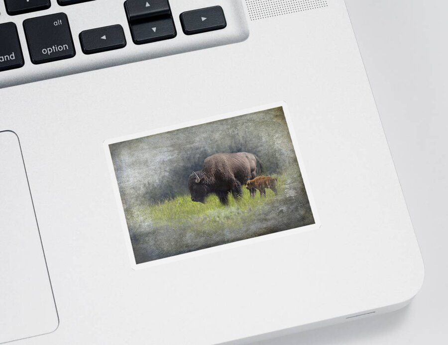 Art Sticker featuring the photograph American Buffalo Mother and Calf by Randall Nyhof