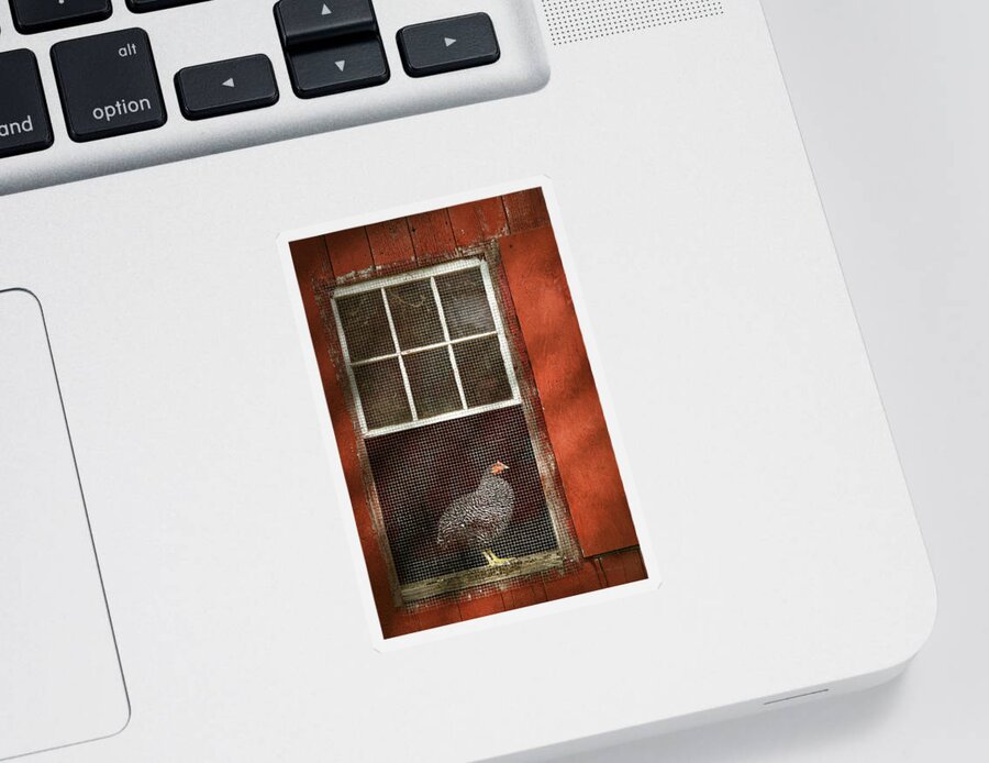 Chick Sticker featuring the photograph Animal - Bird - Chicken in a window by Mike Savad
