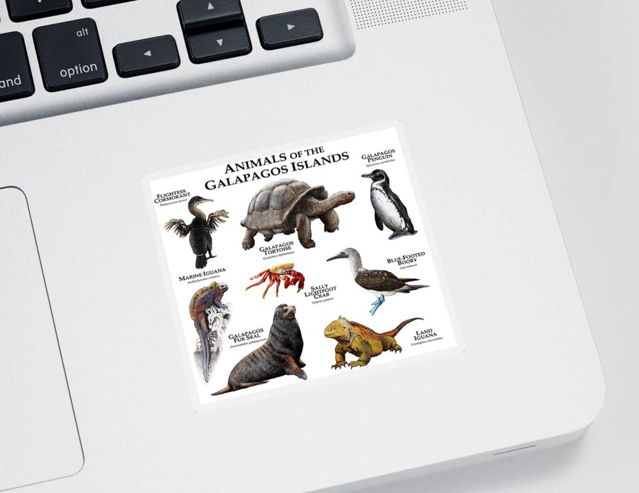 Animal Sticker featuring the photograph Animals Of The Galapagos Islands by Roger Hall