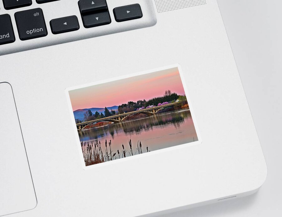 Bridge Sticker featuring the photograph Another pink morning 2 by Lynn Hopwood