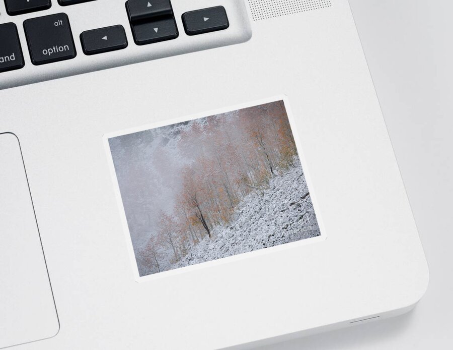 Central Colorado Sticker featuring the photograph Aspen Snow by Idaho Scenic Images Linda Lantzy