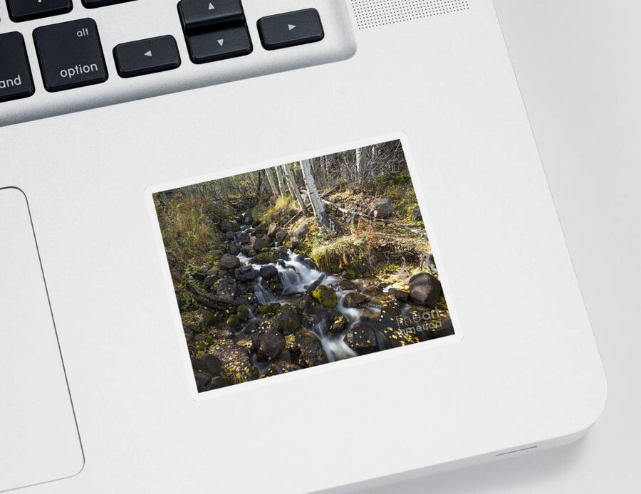 Colorado Sticker featuring the photograph Aspen Stream by Idaho Scenic Images Linda Lantzy