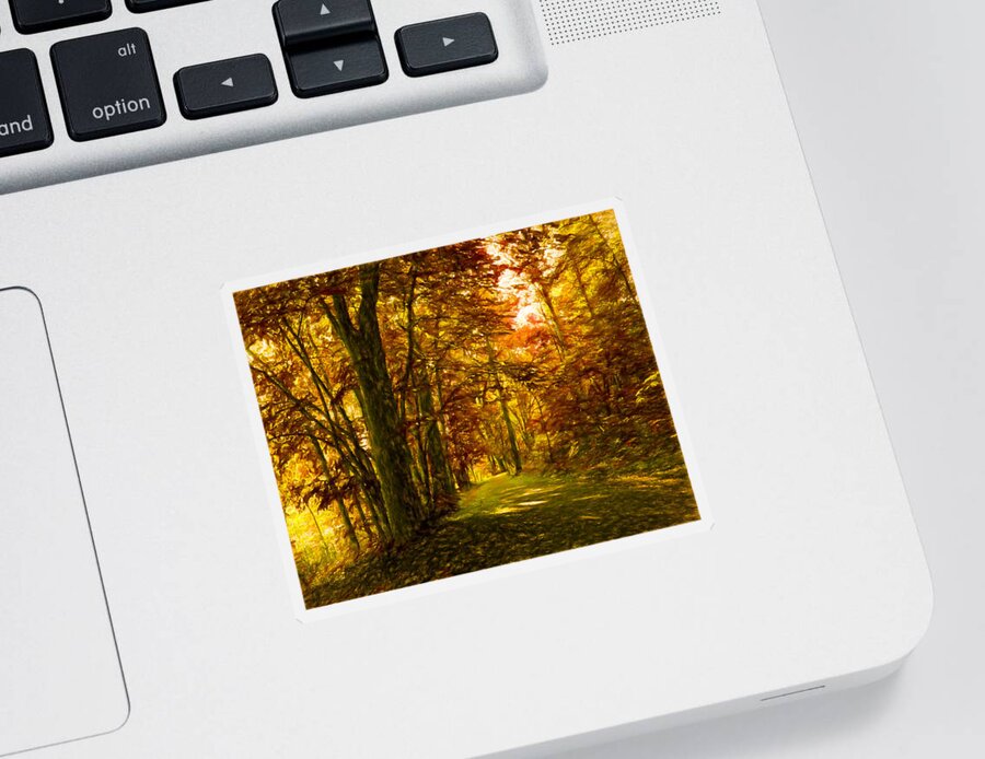 Autumn Sticker featuring the photograph Autumn Glory by Denise Beverly