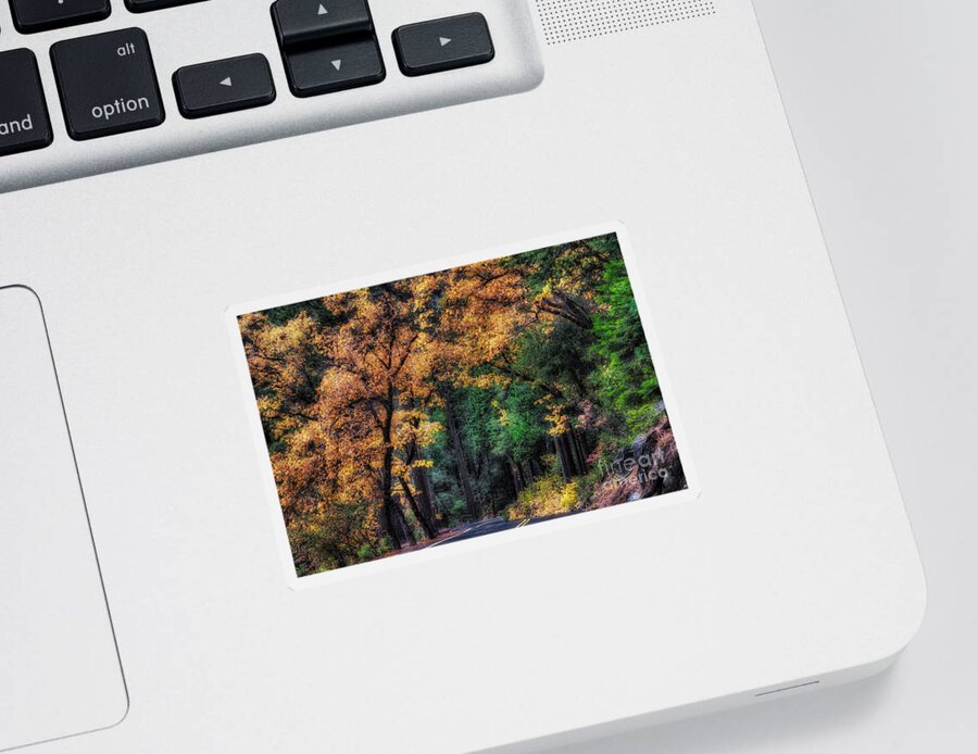 Yosemite Sticker featuring the photograph Autumn Glow by Anthony Michael Bonafede