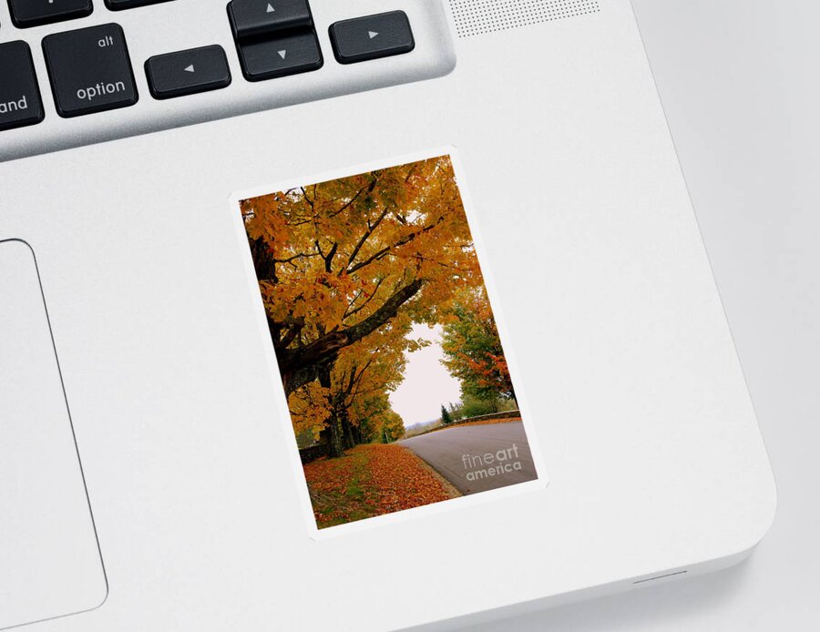 Golden Yellow Leaves Sticker featuring the photograph Autumn Gold by Eunice Miller