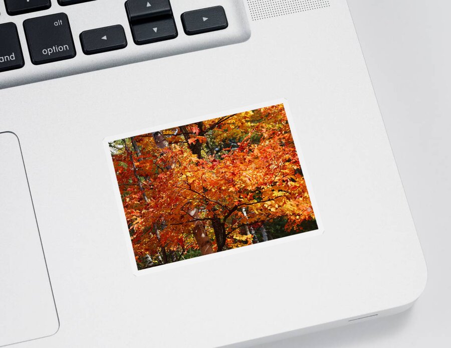 Landscape Sticker featuring the digital art Autumn Gold by Pat Speirs
