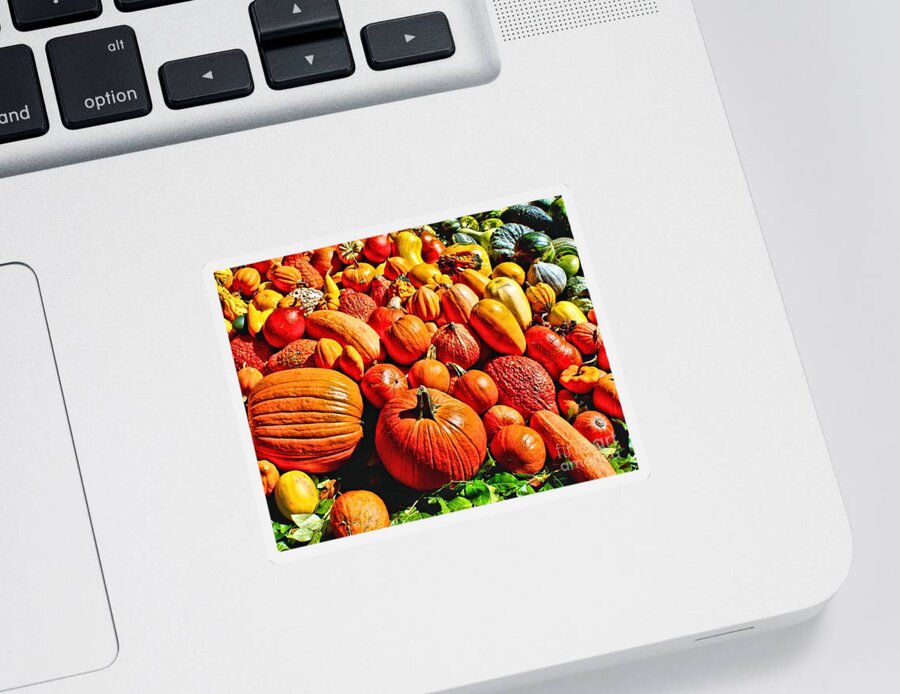 Harvest Sticker featuring the photograph Autumn Harvest by Nick Zelinsky Jr