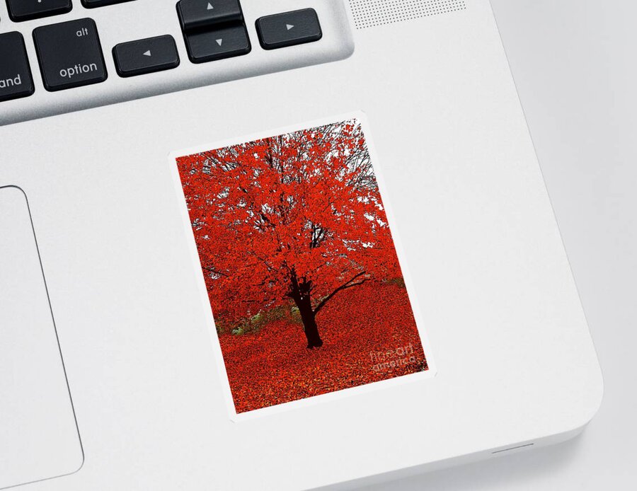 Autumn Sticker featuring the photograph Red Tree Impressions #1 Red by Saundra Myles