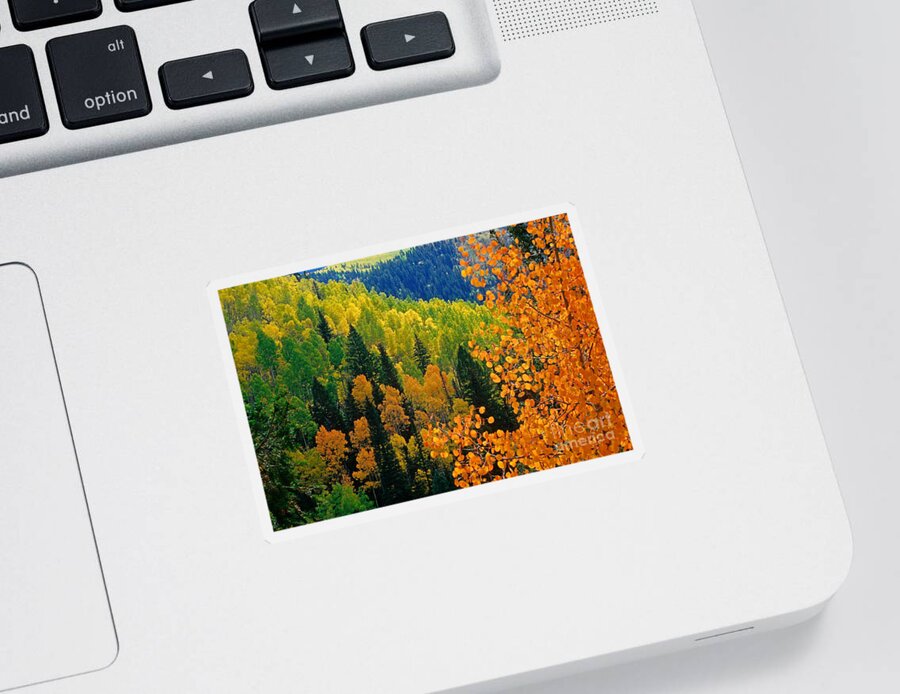 Golden Aspens Sticker featuring the photograph Autumn In Colorado by Richard and Ellen Thane