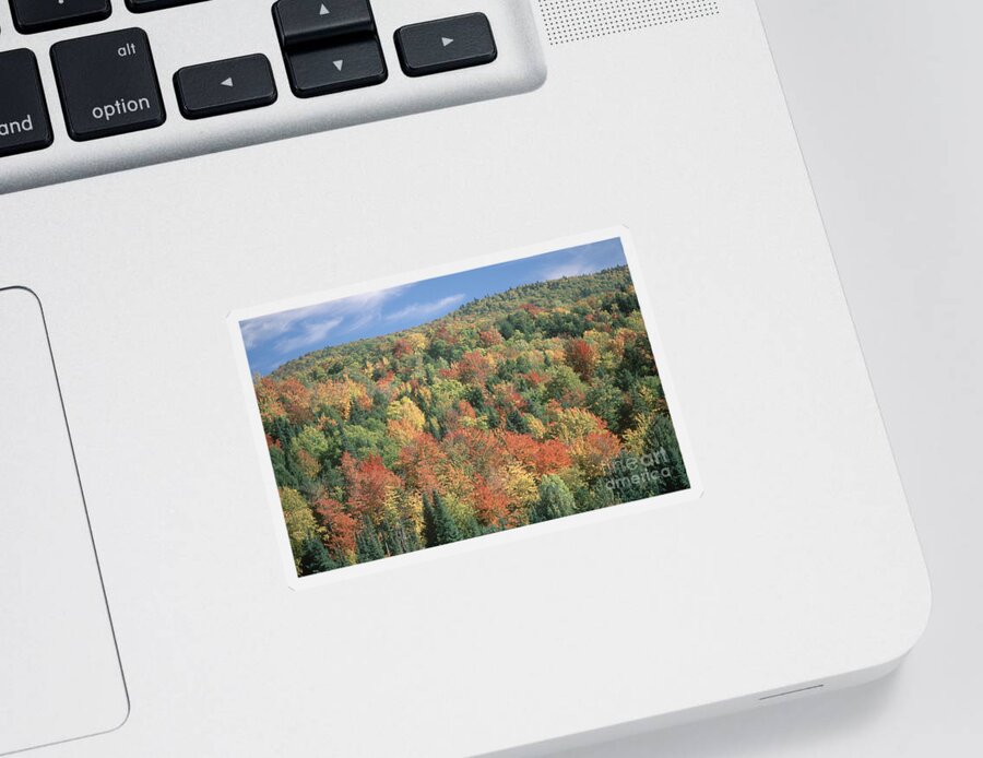 Vermont Sticker featuring the photograph Autumn In Vermont by Mark Newman