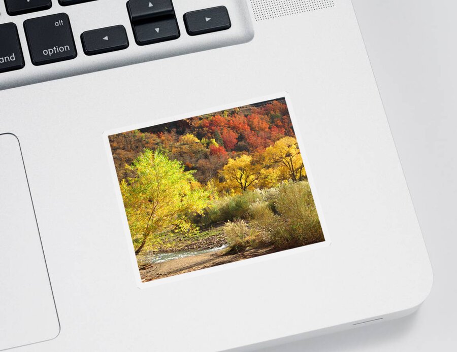 Autumn Sticker featuring the photograph Autumn in Zion by Alan Socolik