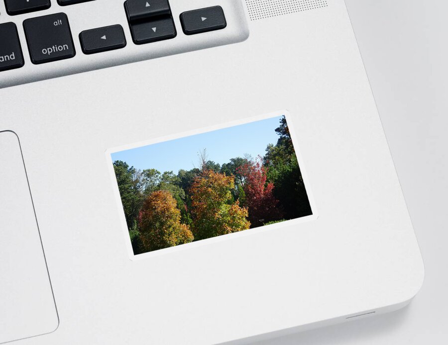 Autumn Leaves Sticker featuring the photograph Autumn Leaves by Rafael Salazar