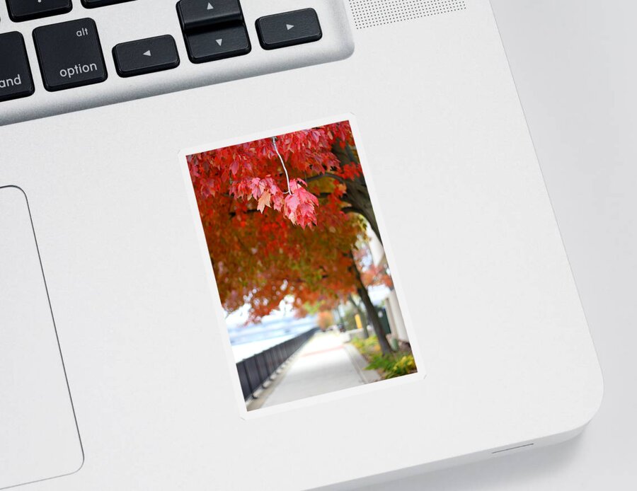 Autumn Sticker featuring the photograph Autumn Sidewalk by Viviana Nadowski