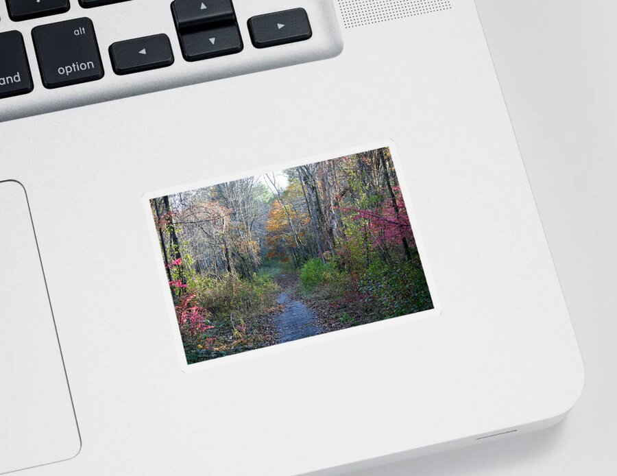 Photography Sticker featuring the photograph Autumn Silence No.2 by Neal Eslinger
