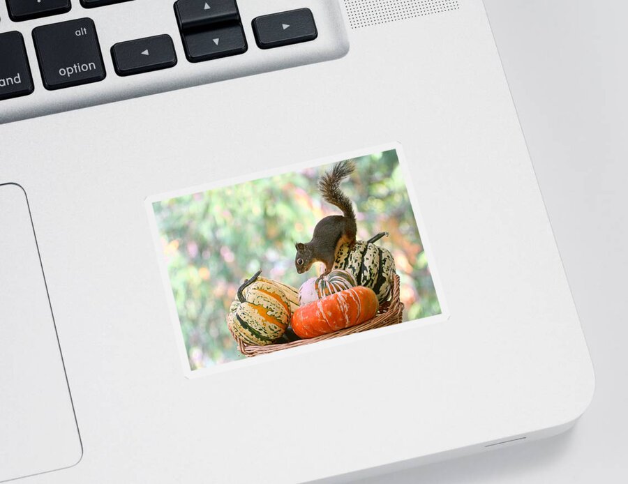 Autumn Sticker featuring the photograph Autumn Still Life with Squirrel by Peggy Collins