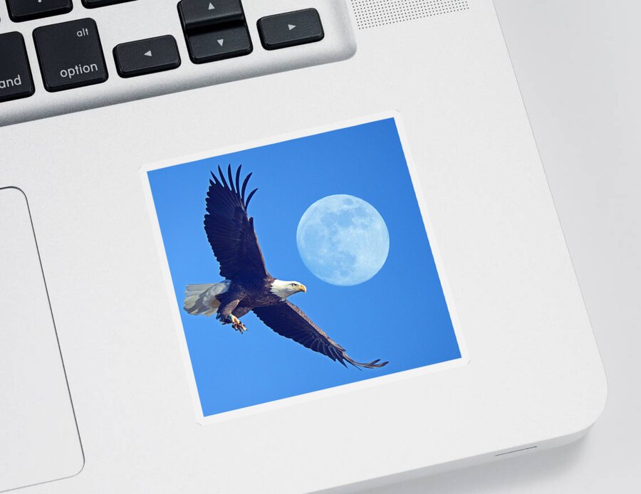 Bald Eagle And Full Moon Sticker featuring the photograph Bald Eagle and Full Moon by Raymond Salani III