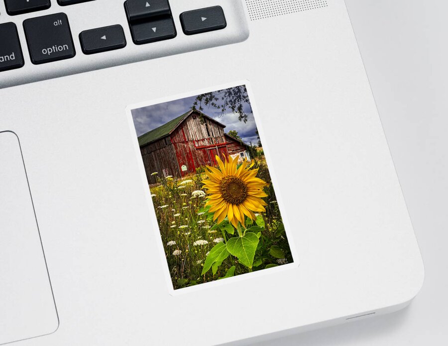 Barn Sticker featuring the photograph Barn Meadow Flowers by Debra and Dave Vanderlaan