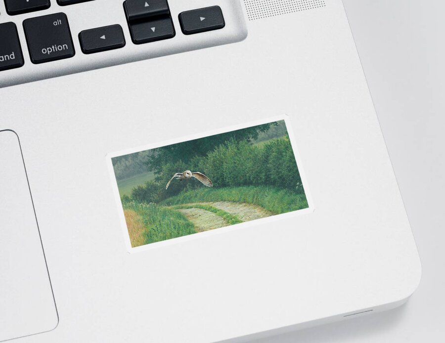 Animal Sticker featuring the photograph Barn Owl Flying Over Rural Lane by Ikon Ikon Images