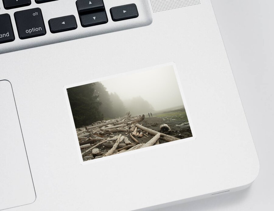 Logs Sticker featuring the photograph Into the Fog by Marilyn Wilson