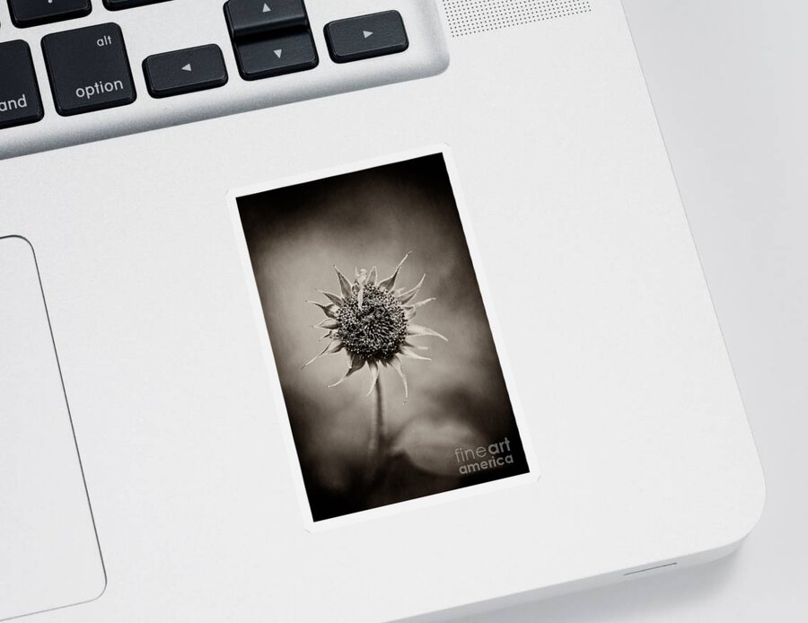 Flower Sticker featuring the photograph Beauty of Loneliness by Trish Mistric