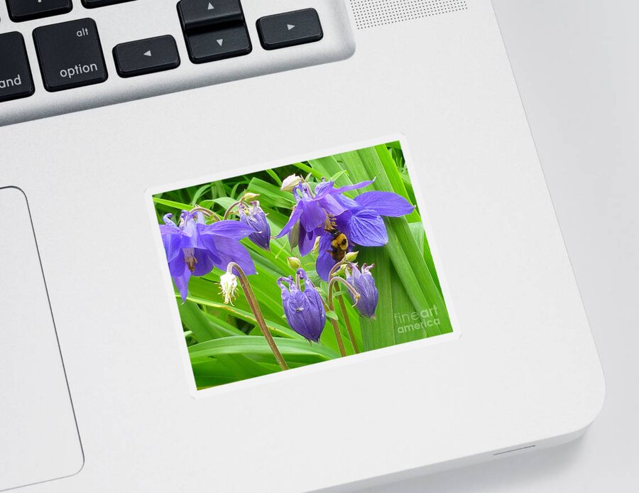 Floral Sticker featuring the photograph BEE My BELLE by Lingfai Leung