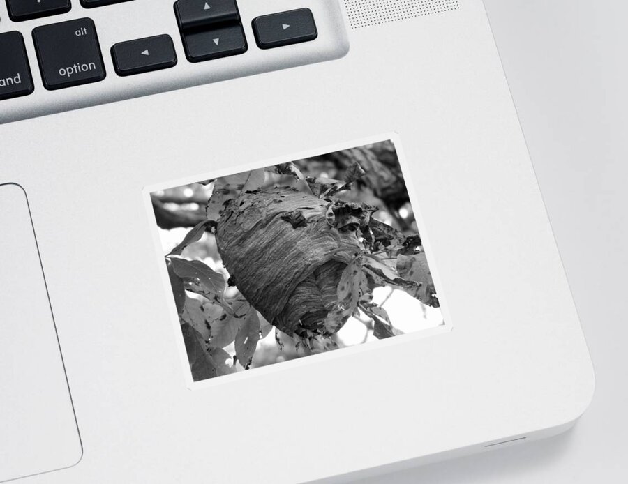 Nature Sticker featuring the photograph Beehive by Lisa Blake