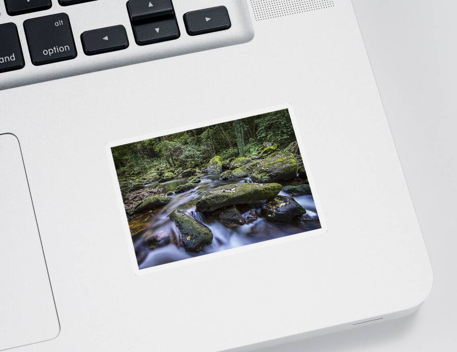 Belelle Sticker featuring the photograph Belelle River Neda Galicia Spain by Pablo Avanzini