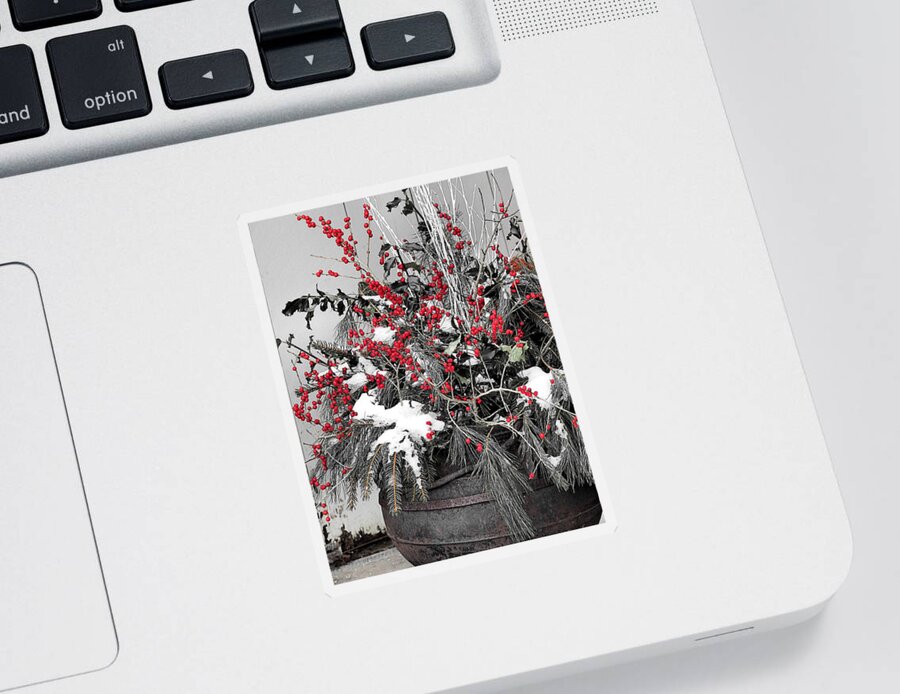 Red Berries Sticker featuring the photograph Berries and Pines in Old Metal Pot by Janice Drew