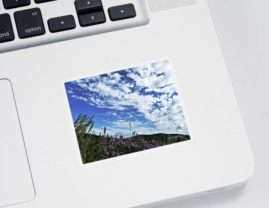 Sky Sticker featuring the photograph Beyond the Sky by Amalia Suruceanu
