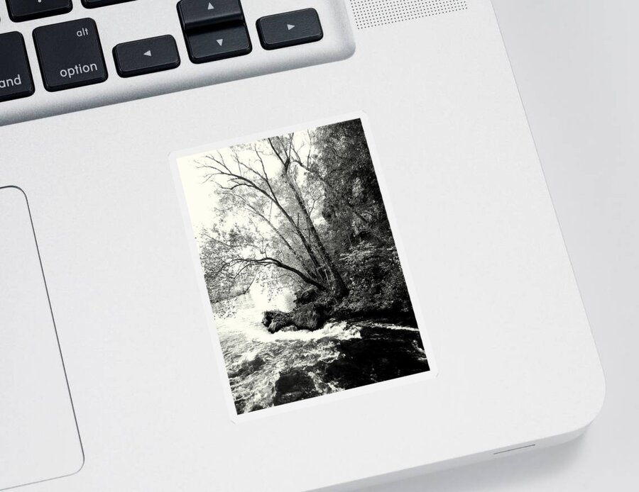 Black And White Sticker featuring the photograph Big Spring In B and W by Marty Koch