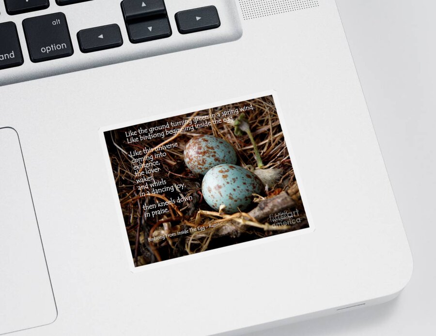 Eggs Sticker featuring the photograph Birdsong From Inside The Egg by Lainie Wrightson