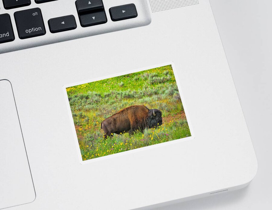 Bison Sticker featuring the photograph Bison Amid Wildflowers by Greg Norrell