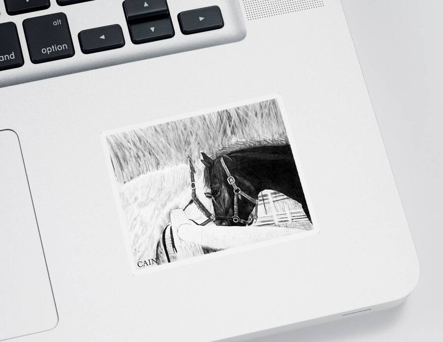 Black Horse Sticker featuring the painting Black And White Horses Art Print by William Cain