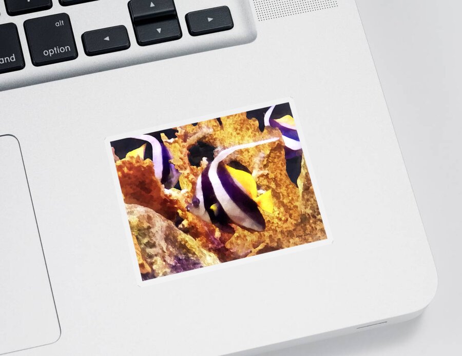 Angelfish Sticker featuring the photograph Black and White Striped Angelfish by Susan Savad