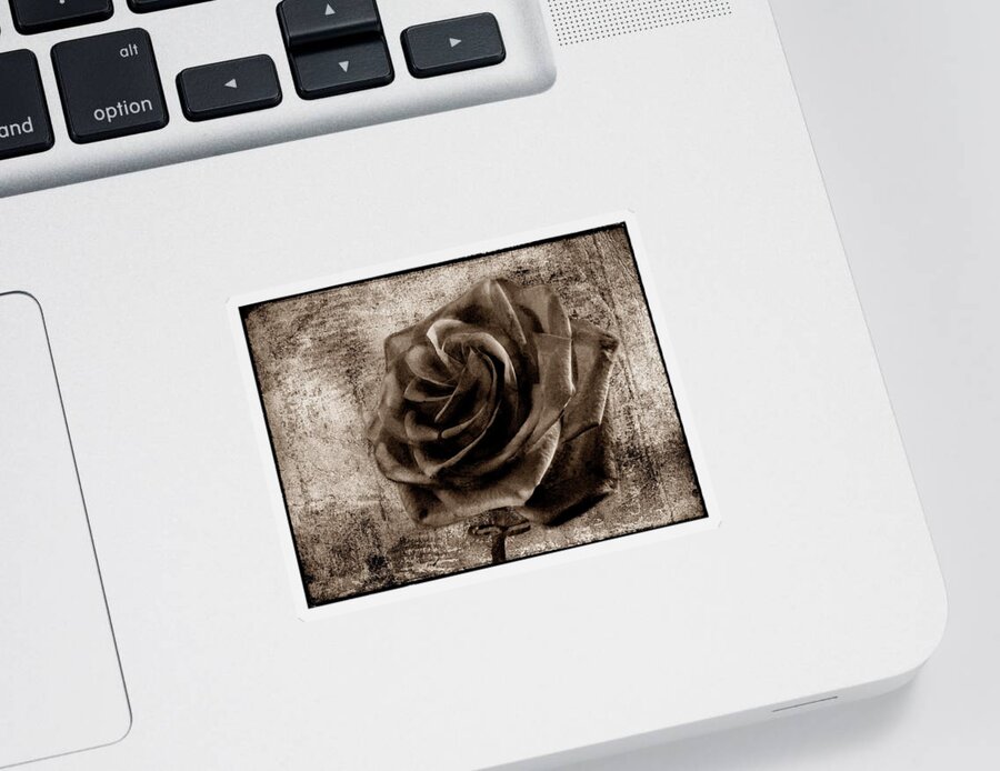 Rose Sticker featuring the photograph Black Rose Eternal Sepia by David Dehner