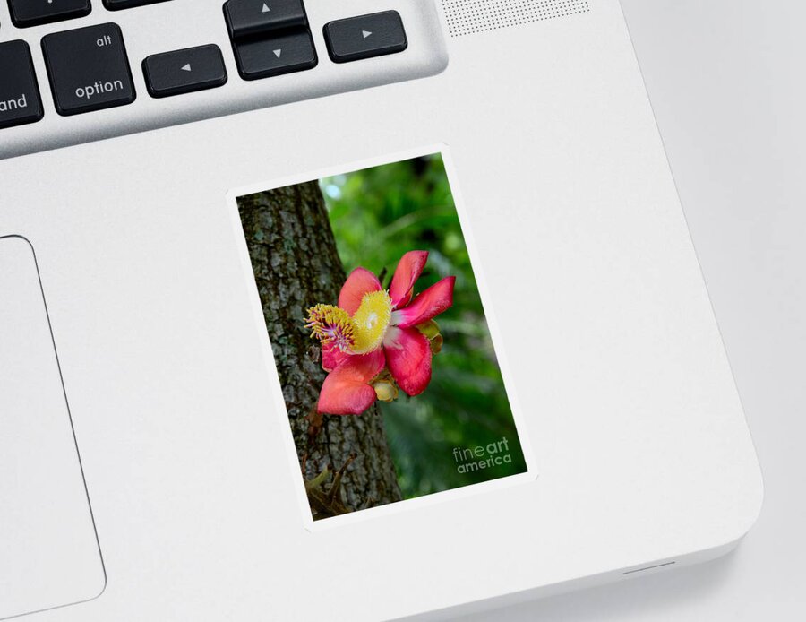  Flower Sticker featuring the photograph Blooming flower of Cannonball Tree by Imran Ahmed