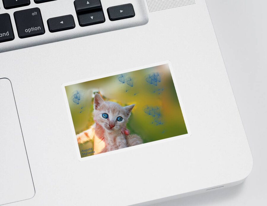 Augusta Stylianou Sticker featuring the photograph Blue Eyes Kitten by Augusta Stylianou