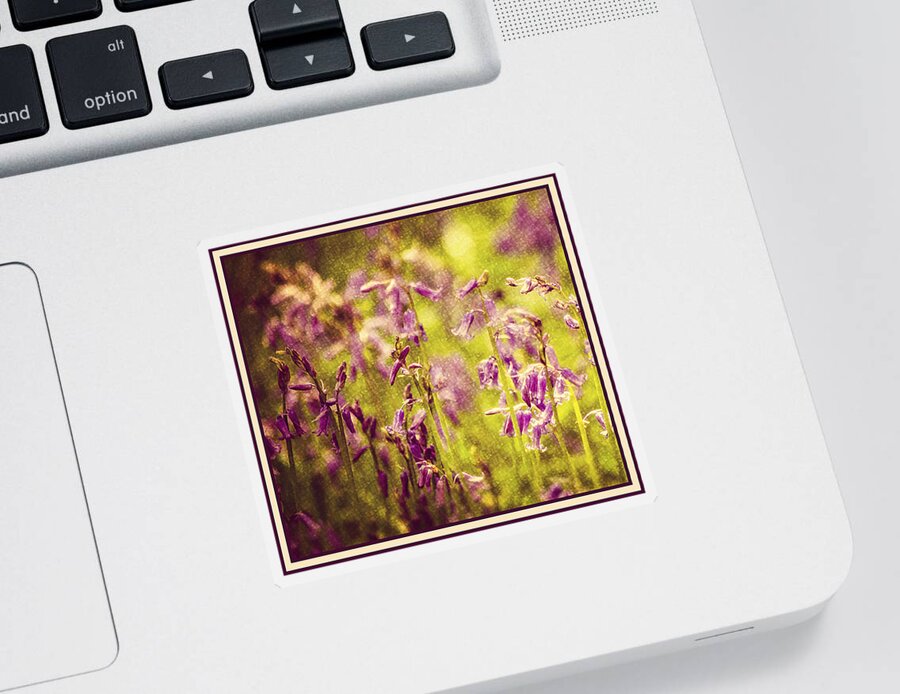 Bell Bottle Sticker featuring the photograph Bluebell in the woods by Spikey Mouse Photography