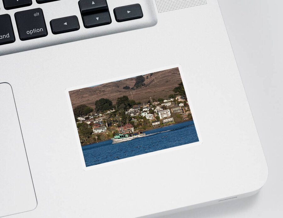 Bodega Sticker featuring the photograph Bodega Bay in December by Kathleen Bishop