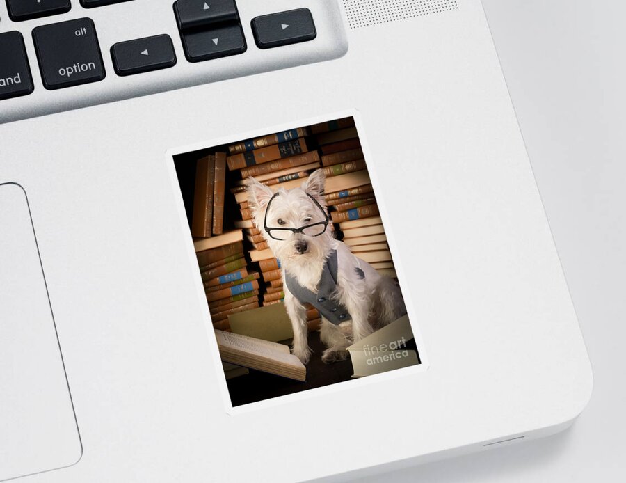 Books Sticker featuring the photograph Bookworm Dog by Edward Fielding