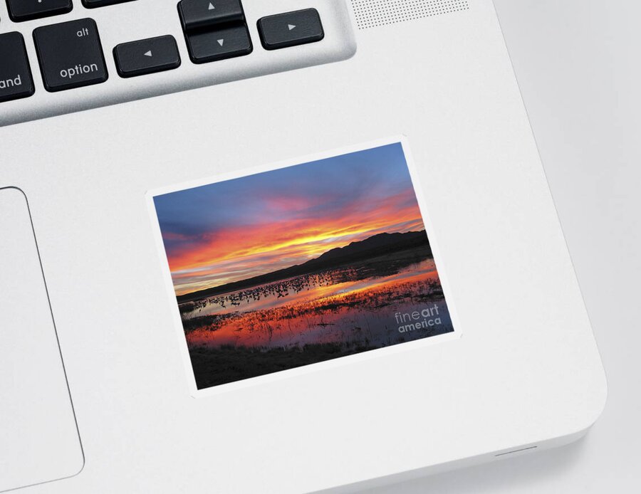 Sandhill Cranes Sticker featuring the photograph Bosque sunset I by Steven Ralser